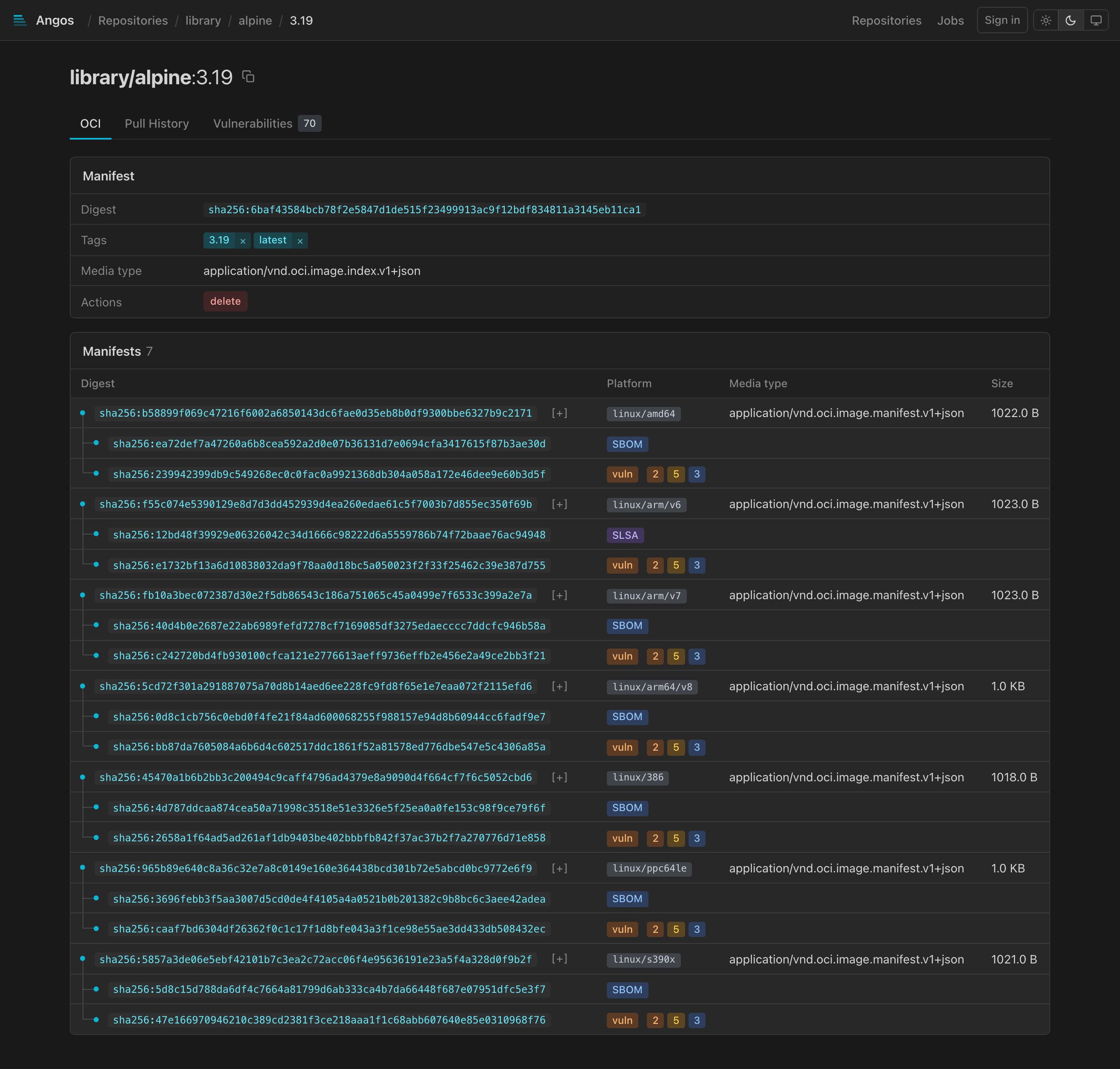Manifest details for a multi-platform index