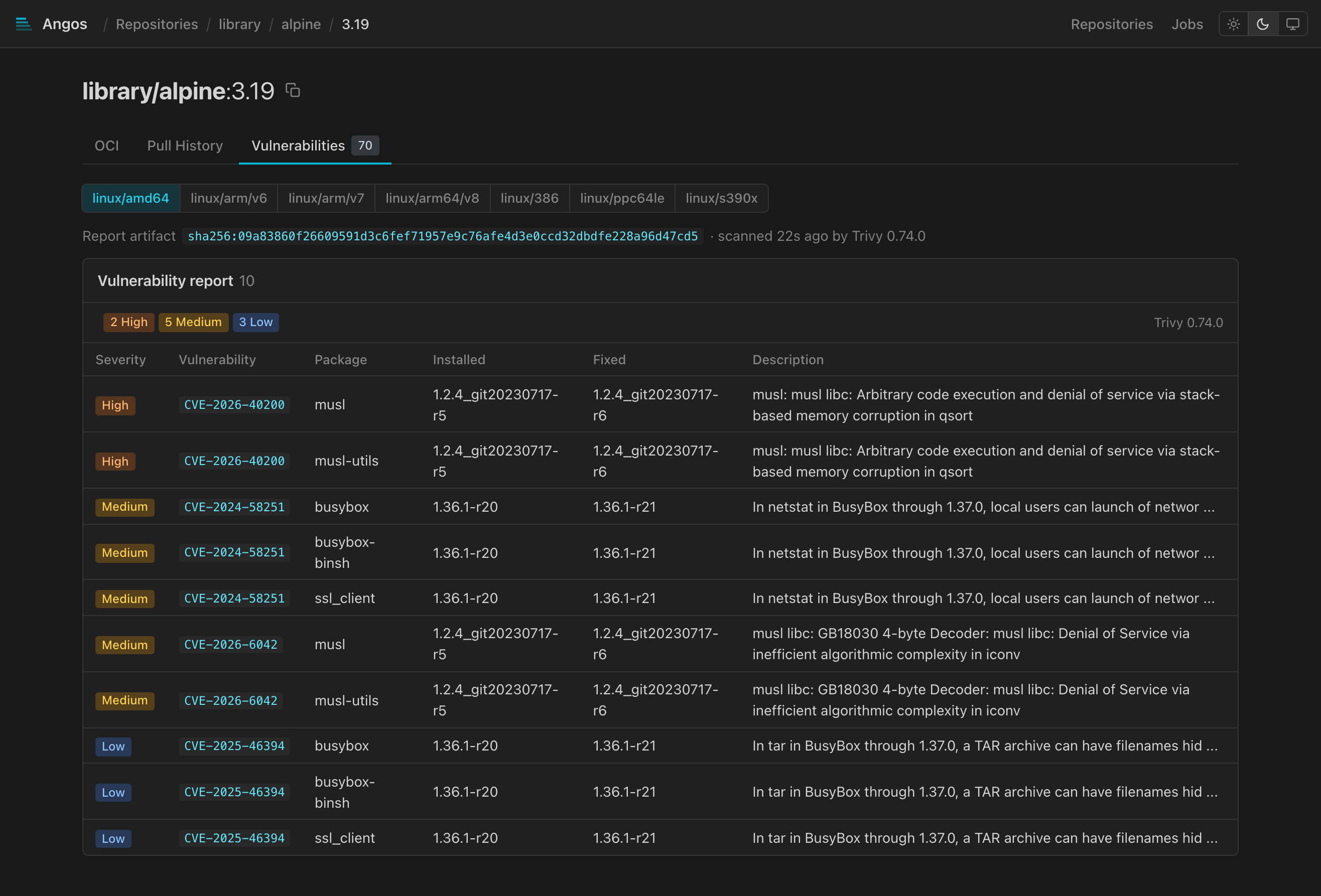 Vulnerabilities tab showing a scan report