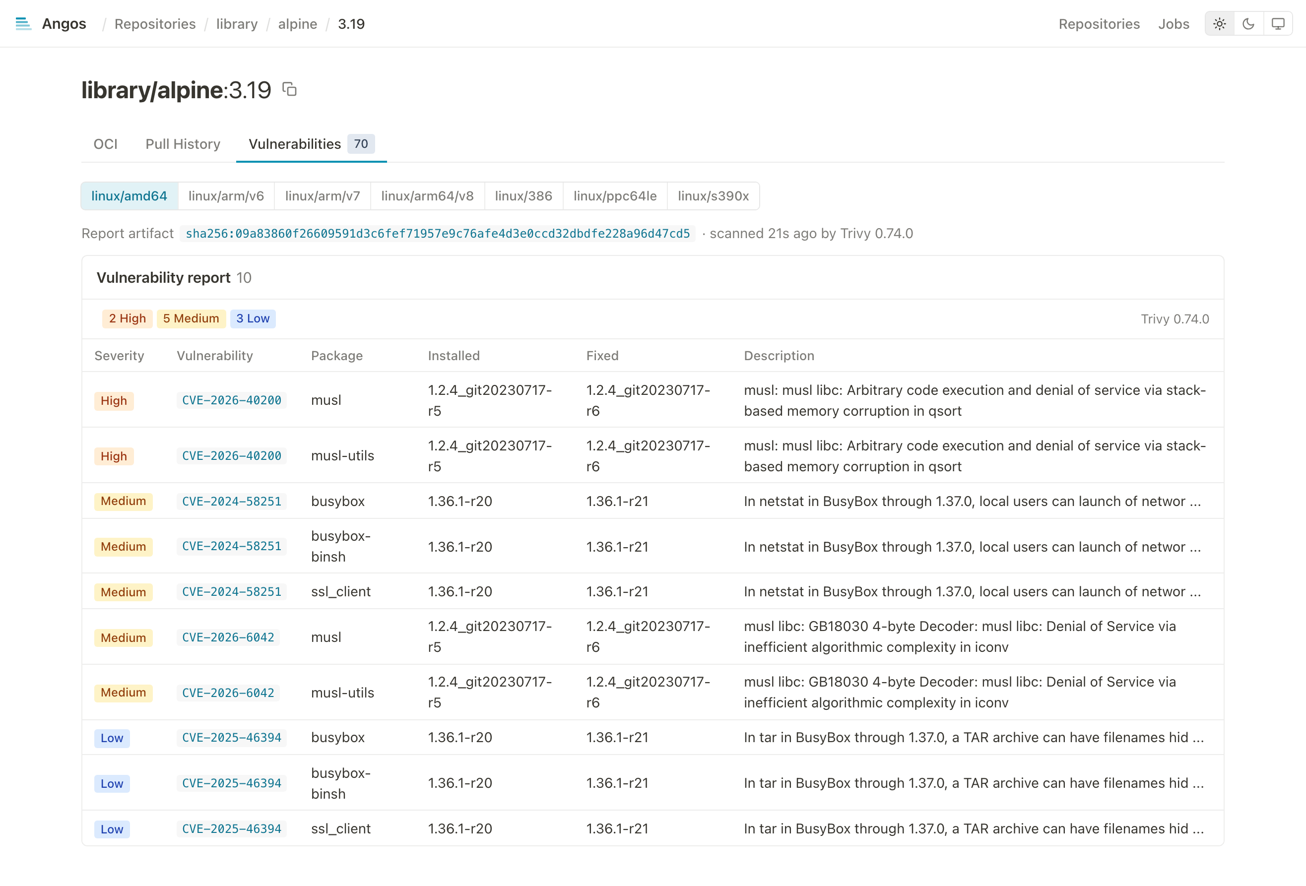 Vulnerabilities tab showing a scan report